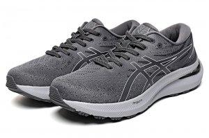 Tênis Asics Gel Kayano 29 - Cinza - Masculino